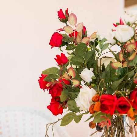 Vindobona - Double Mali Lošinj